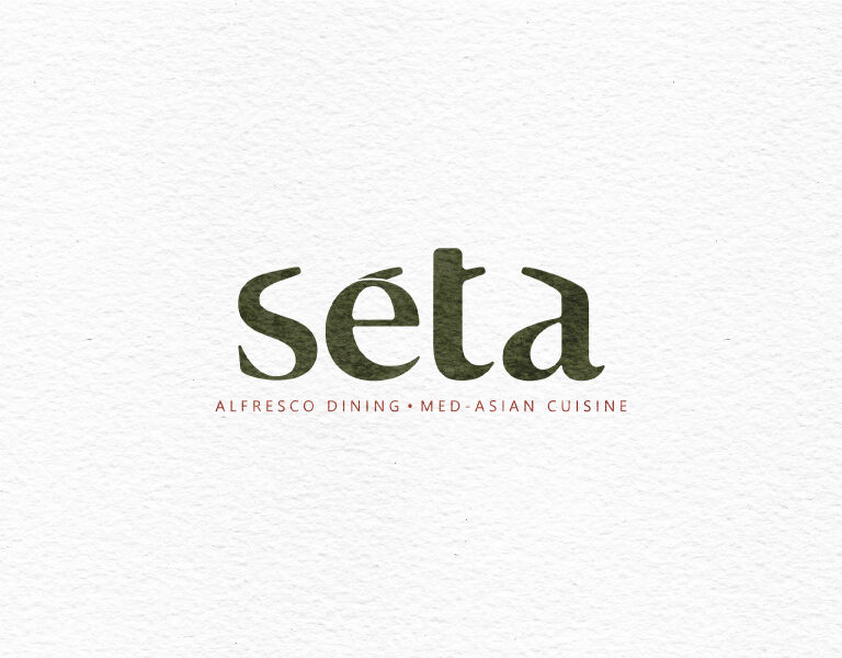 Seta Logo